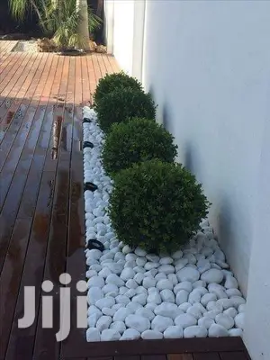 Interior And Exterior Decorations.