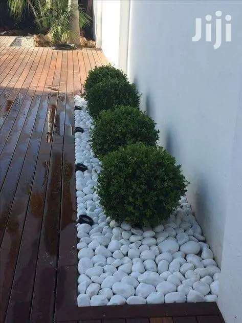 Interior And Exterior Decorations.