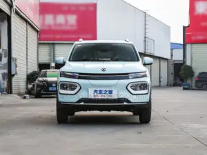 New Dongfeng EV EX1 2023