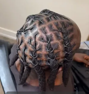 Dreadlocks Expert
