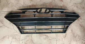 Hyundai Elantra 2019,2020 Front Grille/Front Shell