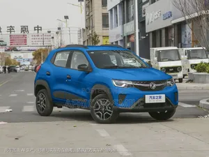 Dongfeng EV EX1 33 kW FWD 2022 Blue