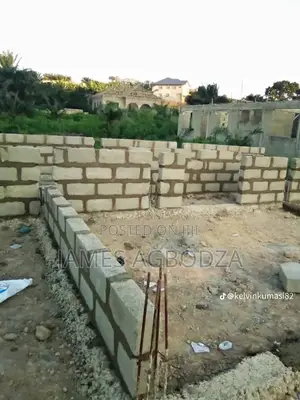 Professional Mason Master