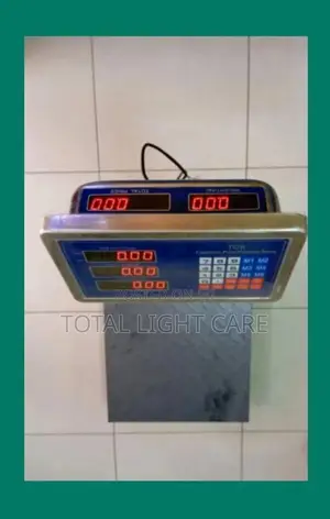 300kg Platform Scale
