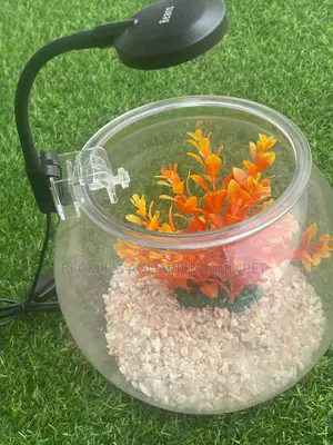 Package Plastic Fishbowl