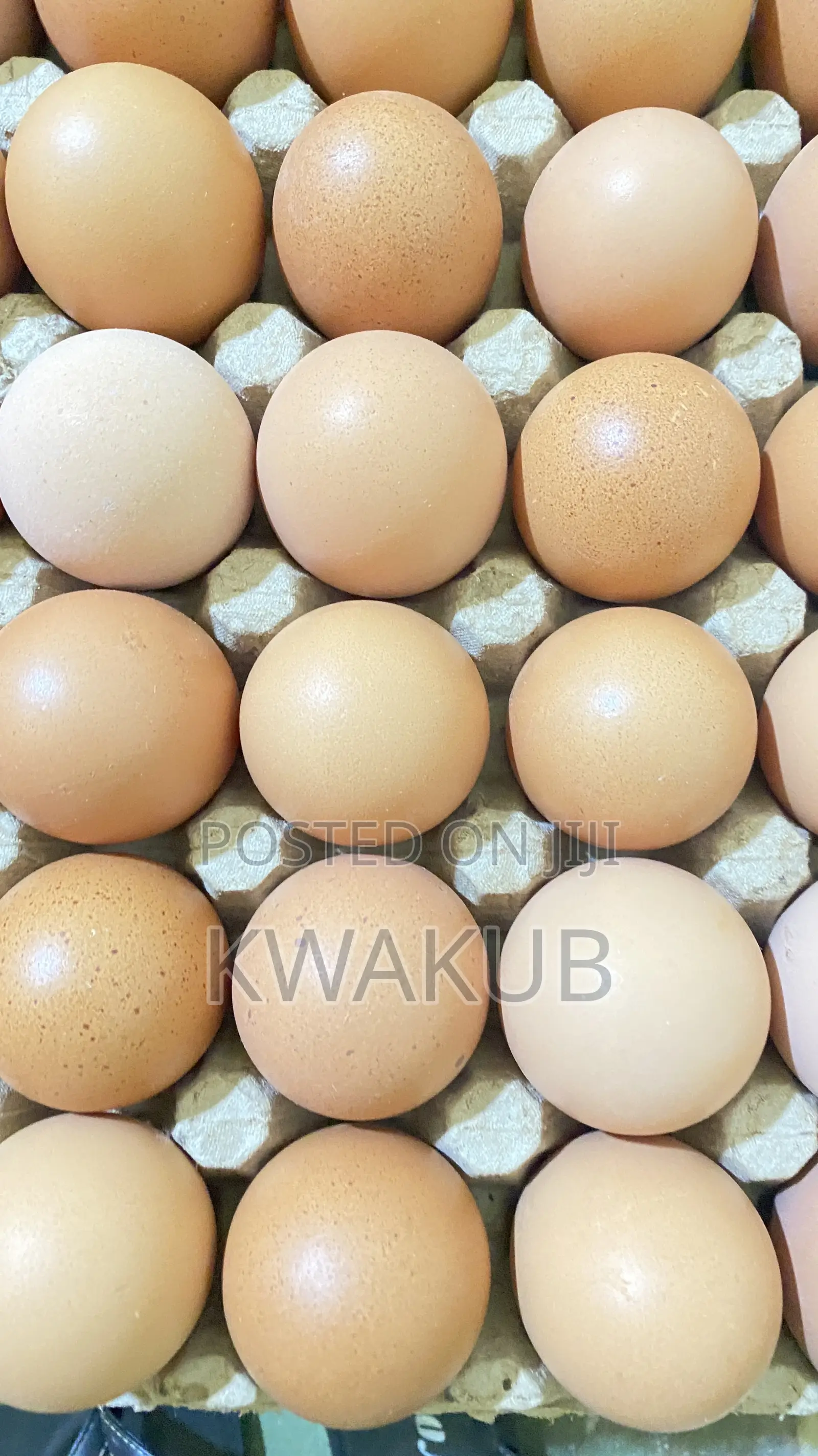 Poultry Products - Fresh Eggs From the Farm