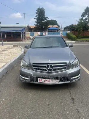 Photo - Mercedes-Benz C250 2014 Gray