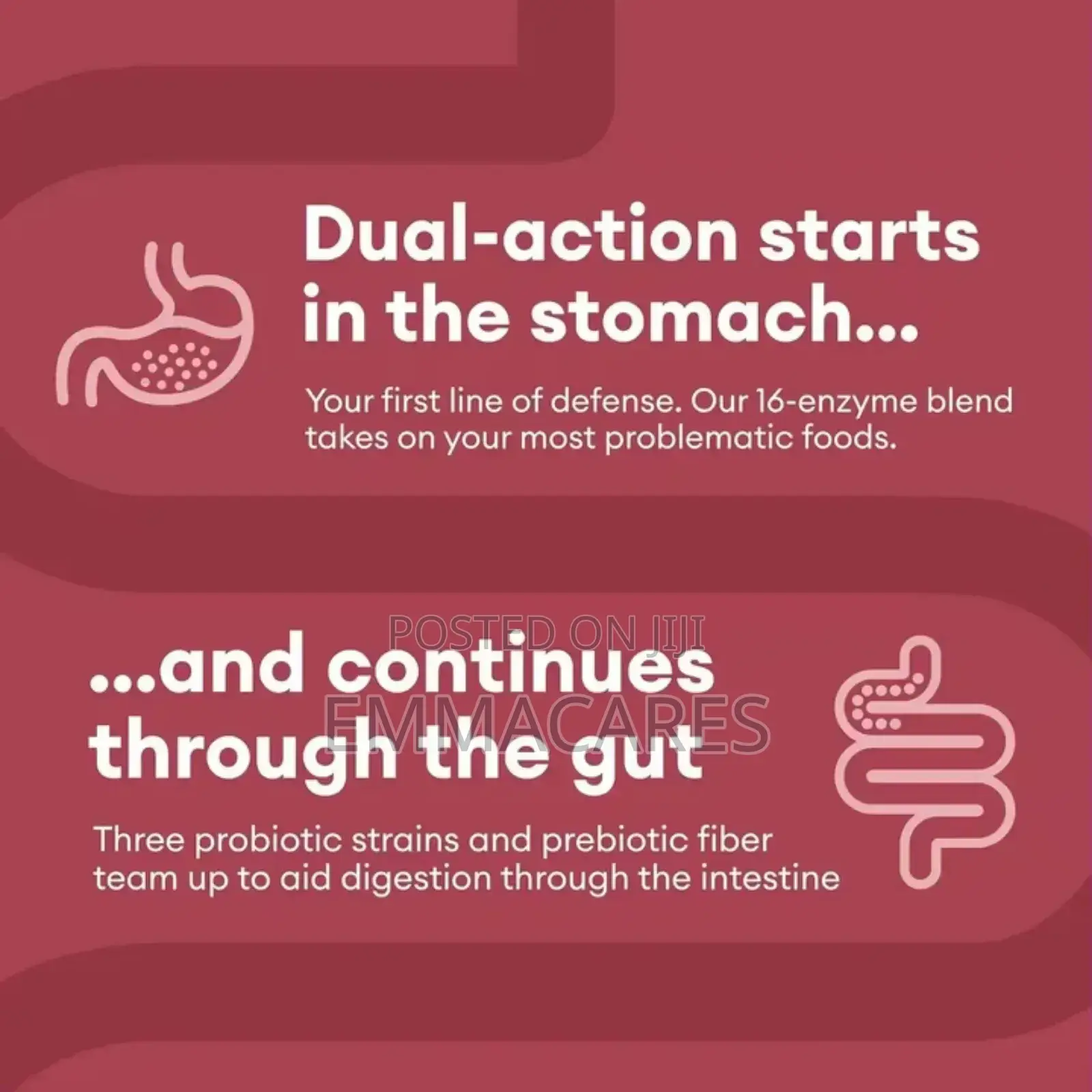 Digestive Enzymes and Probiotics
