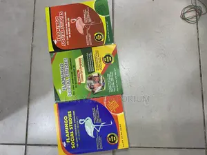 Flamingo Social Studies and R.M.E