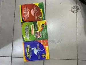 Flamingo Social Studies and R.M.E