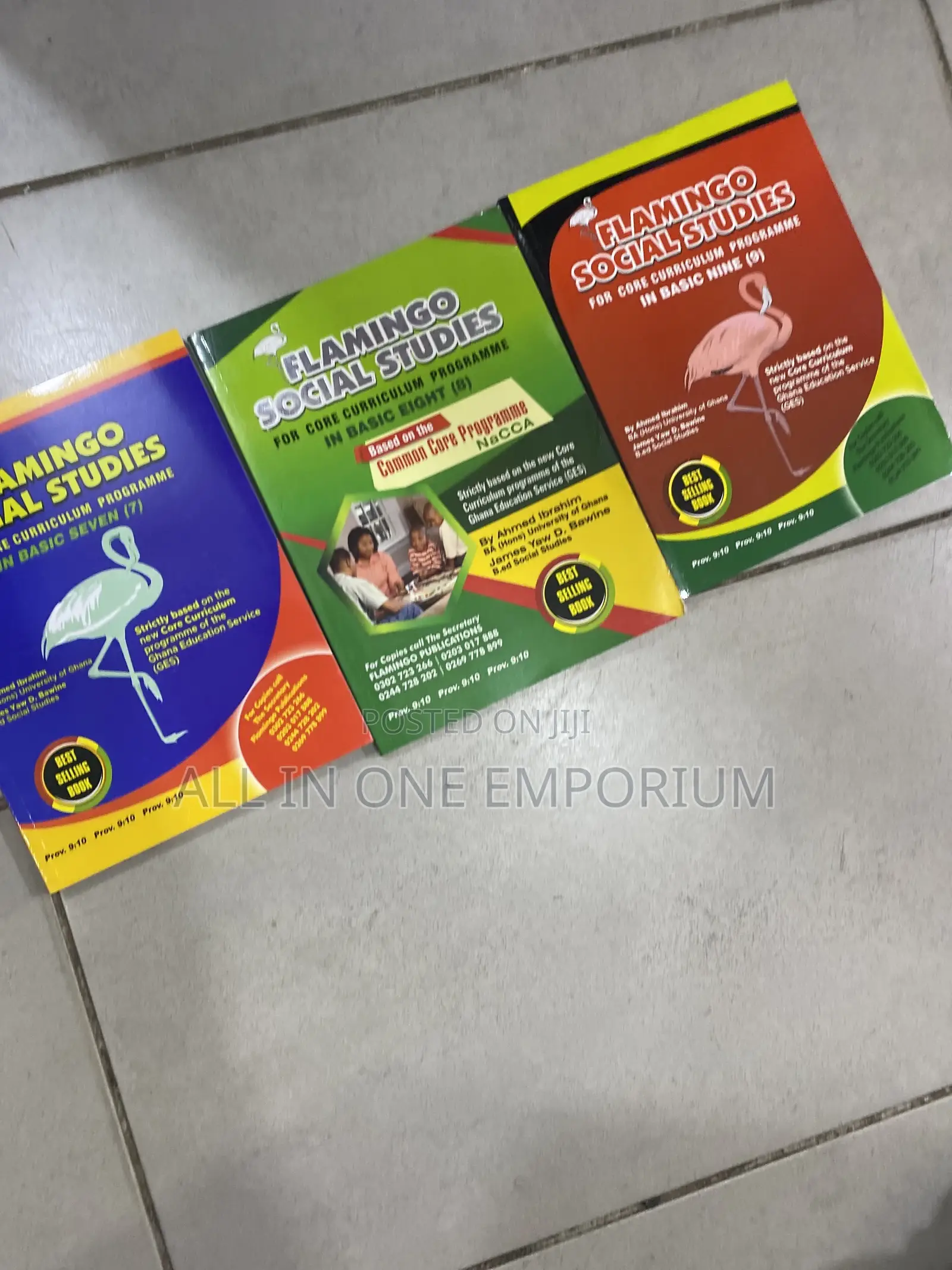 Flamingo Social Studies and R.M.E