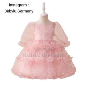 Pink Princess Ball Gown Dress for Girls