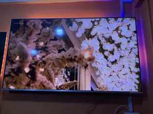 One Philips Uhd HDR Android Tv 65 Inch Ambilight Lights