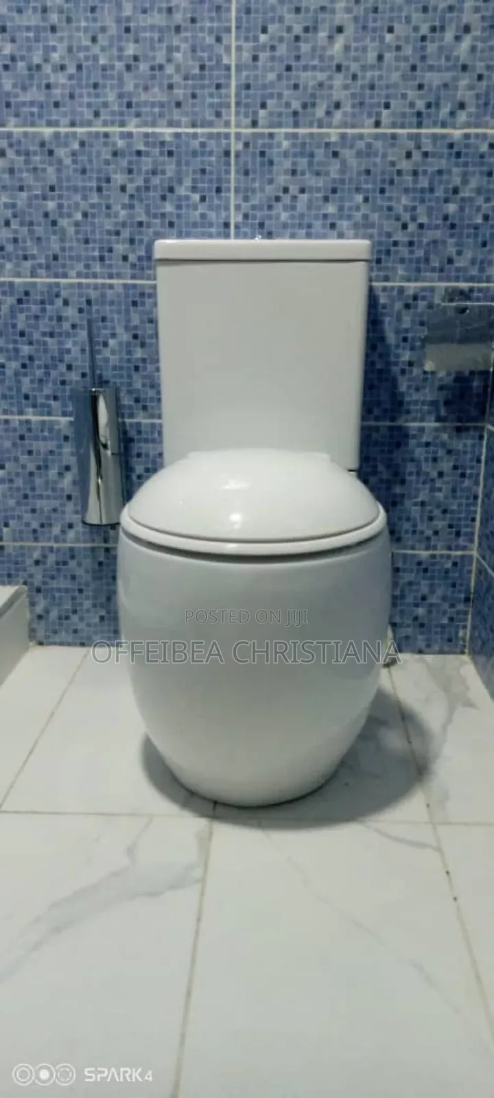 Professional Plumber