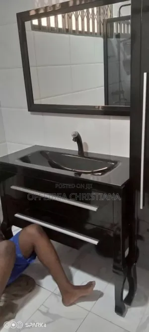 Professional Plumber