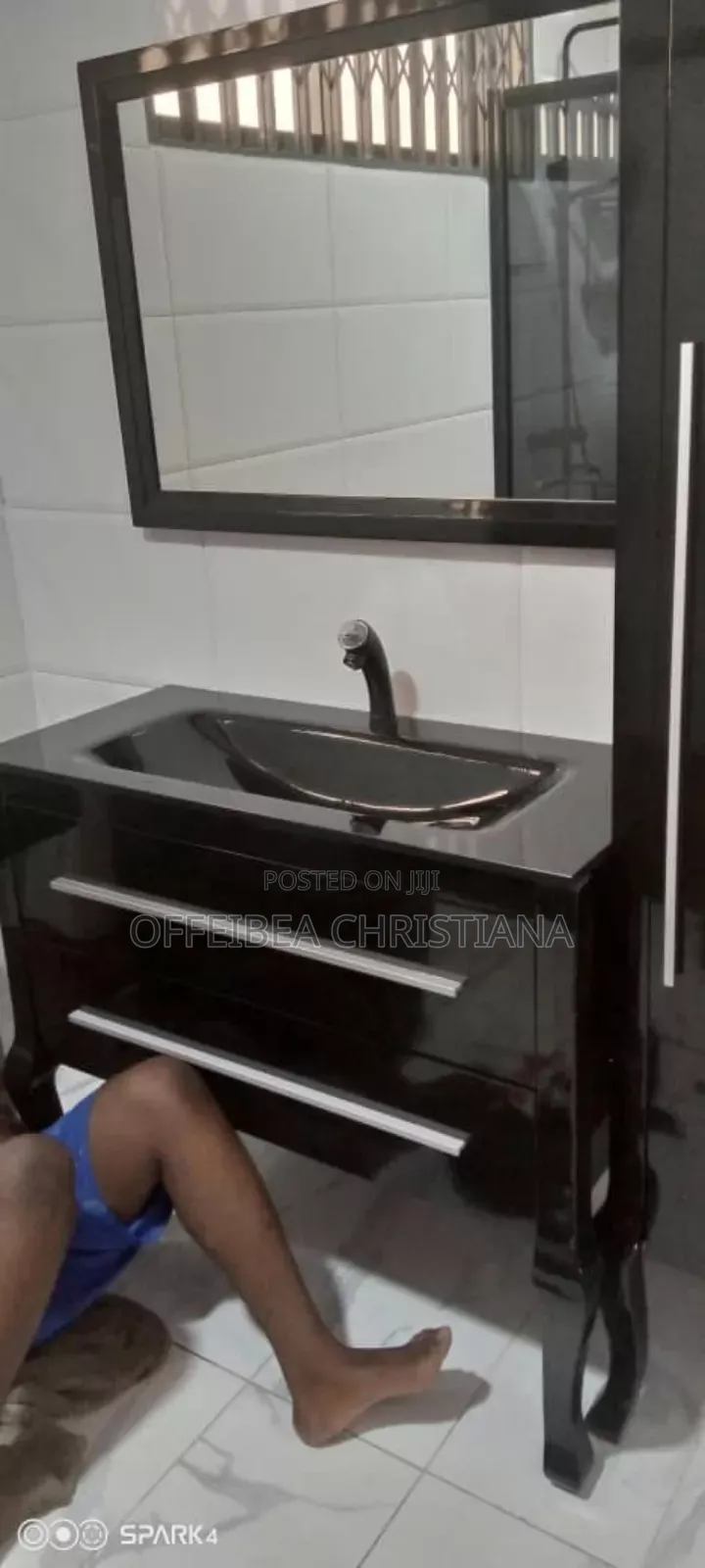 Professional Plumber