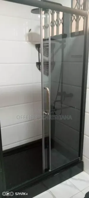 Professional Plumber