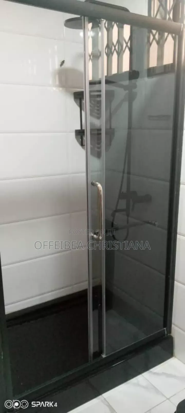 Professional Plumber