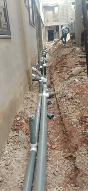 Professional Plumber