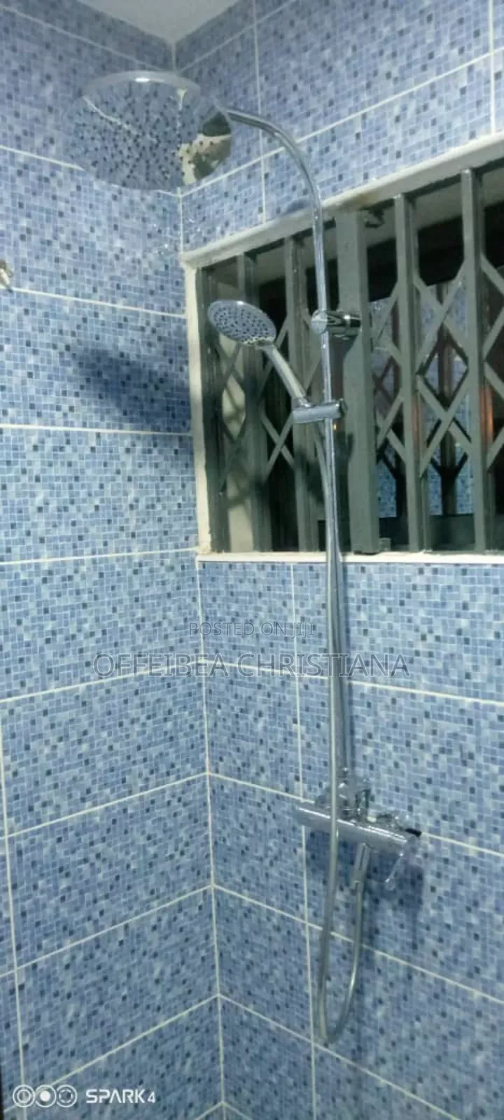 Professional Plumber