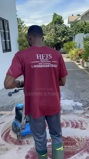 Carpet and Rag Washing Services