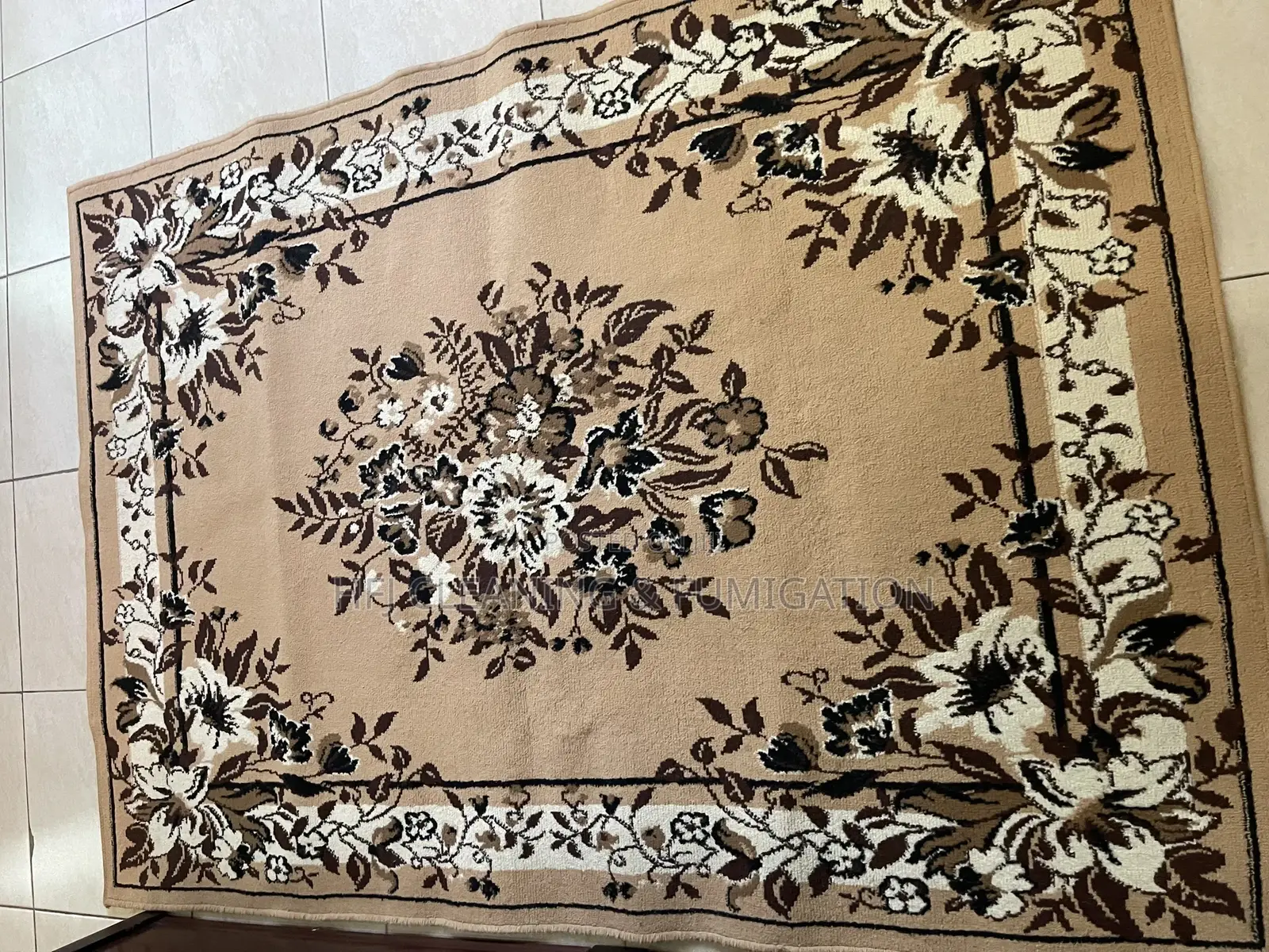 Carpet and Rag Washing Services