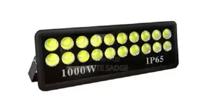 D)Waterproof 1000watts Flood Light
