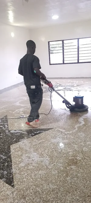 Paye Cleaning Services