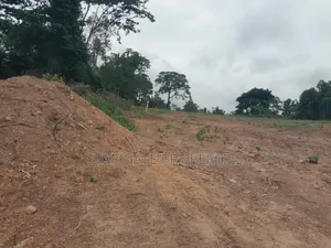 Plot for Sale at Oyoko ( Near Aputuogya)