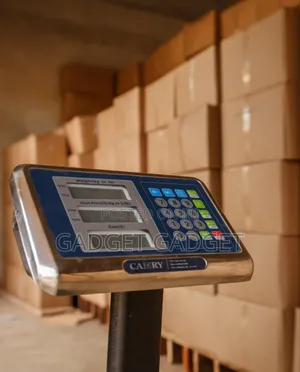 Professional Platform Scale//Camry 300kg