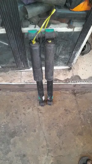 Nissan Sentra 2009 Back Shocks Absorbers