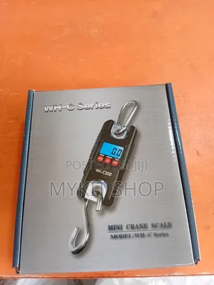 Mini Crane Scales 300kg