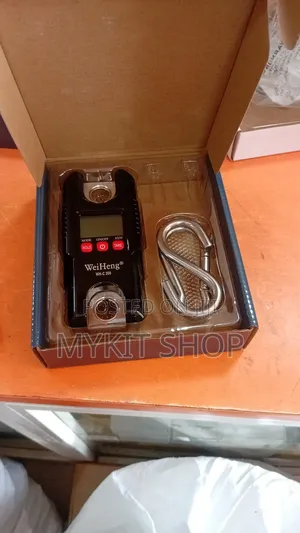 Mini Crane Scales 300kg