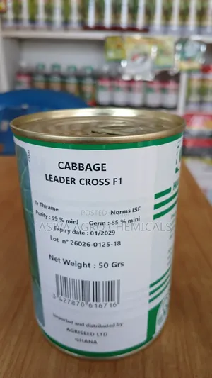 Cabbage (Leader Cross F1) 50grams