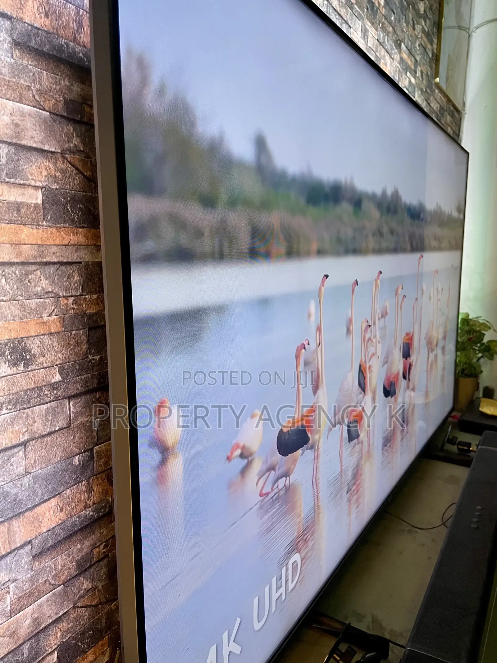 70 Inches 70” Philips Tv for Sale