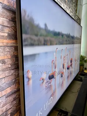 70 Inches 70” Philips Tv for Sale