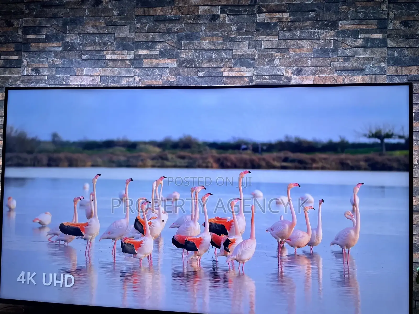 70 Inches 70” Philips Tv for Sale