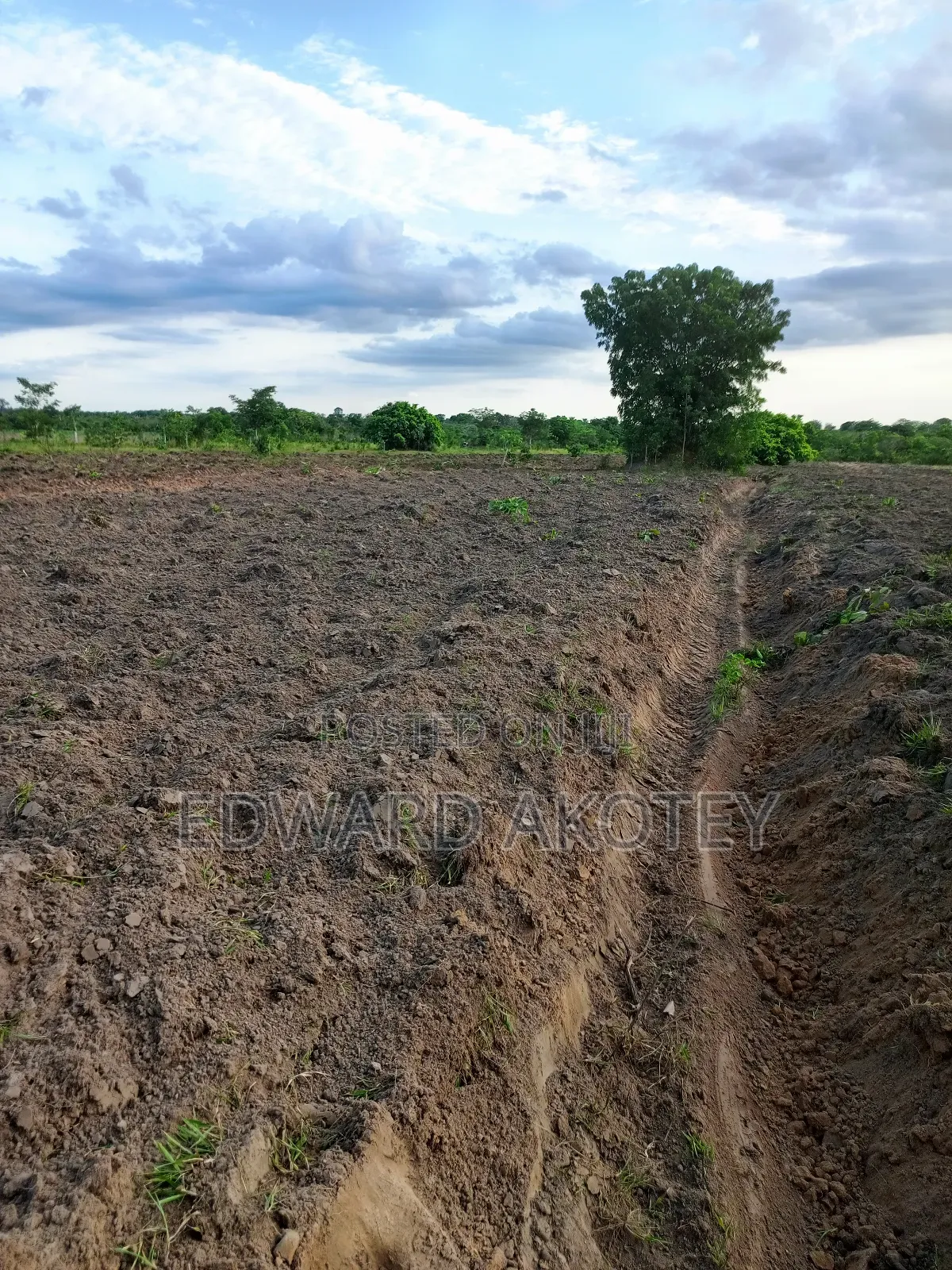 Farmland Fo Lease or Rent at Akuietey