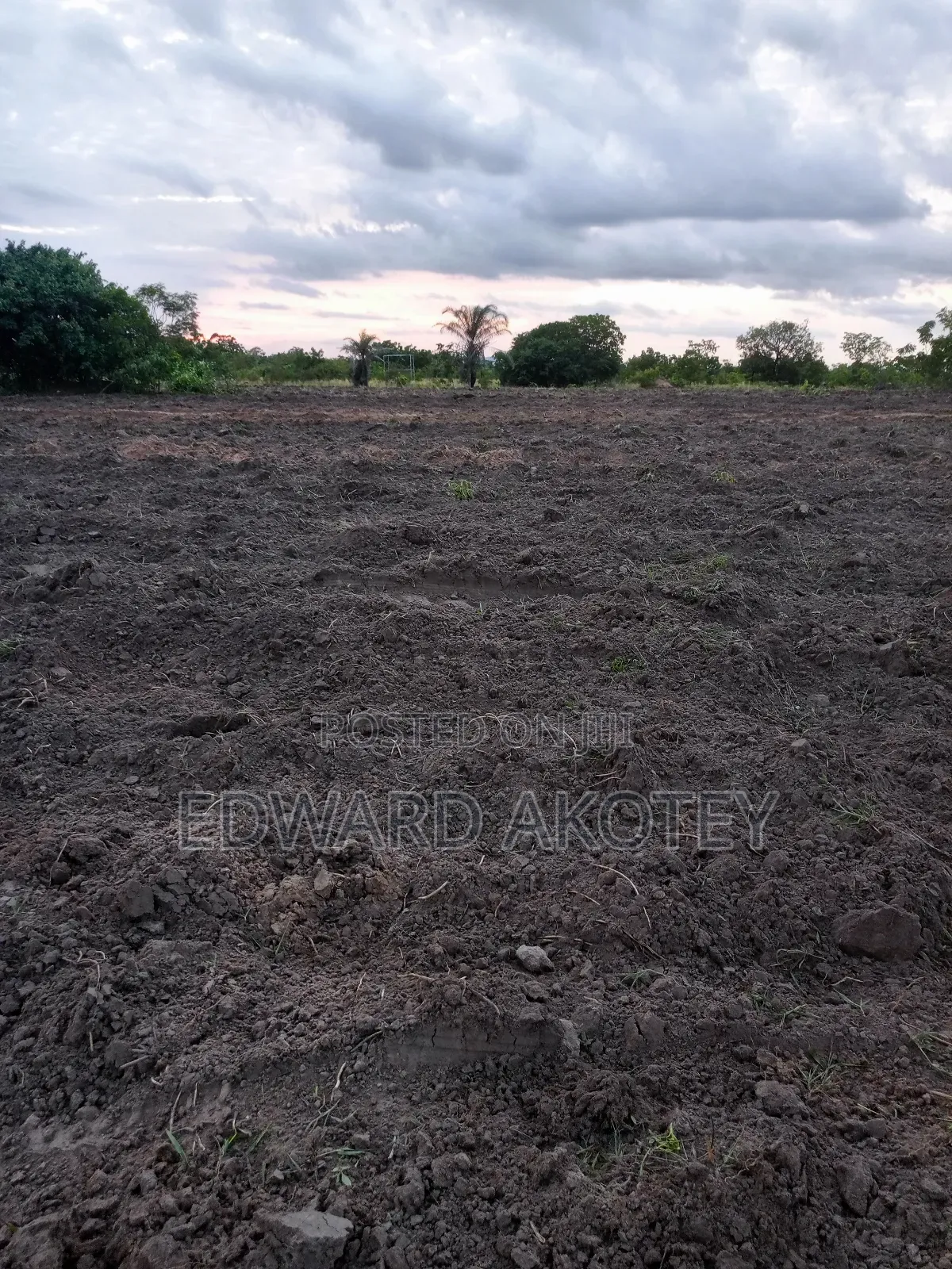 Farmland Fo Lease or Rent at Akuietey