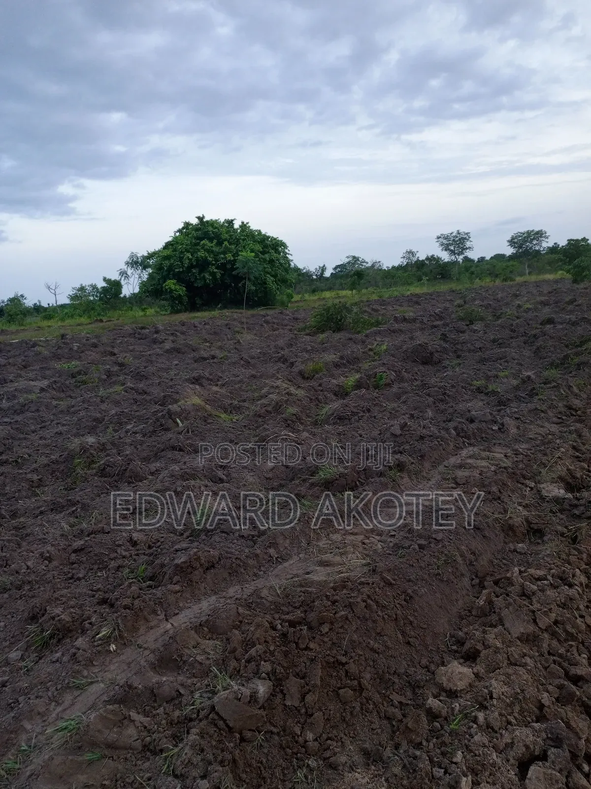 Farmland Fo Lease or Rent at Akuietey