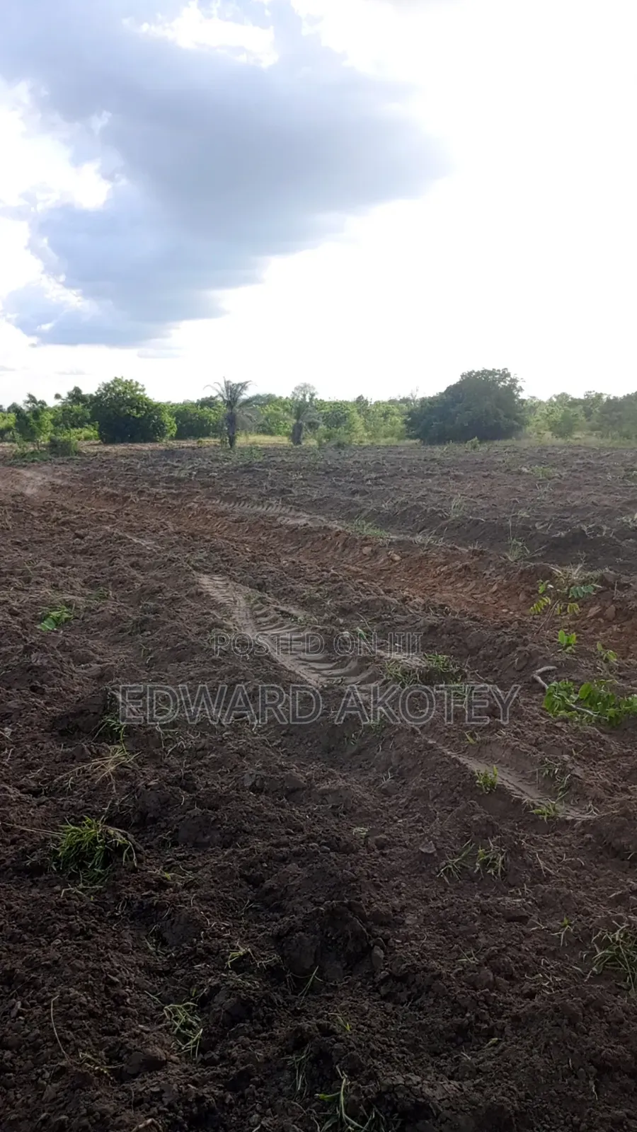 Farmland Fo Lease or Rent at Akuietey