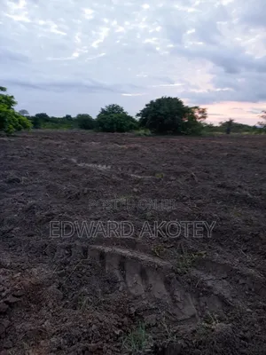 Fertile Farmland for Lease or Buy