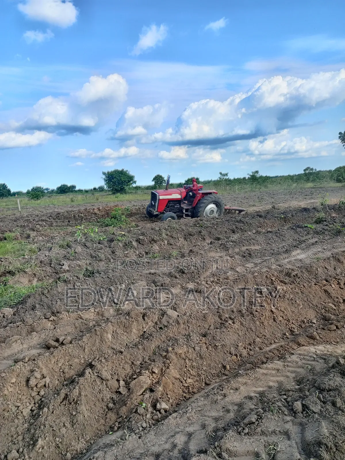 Fertile Farmland for Lease or Buy