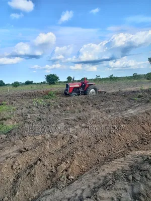 Fertile Farmland for Lease or Buy