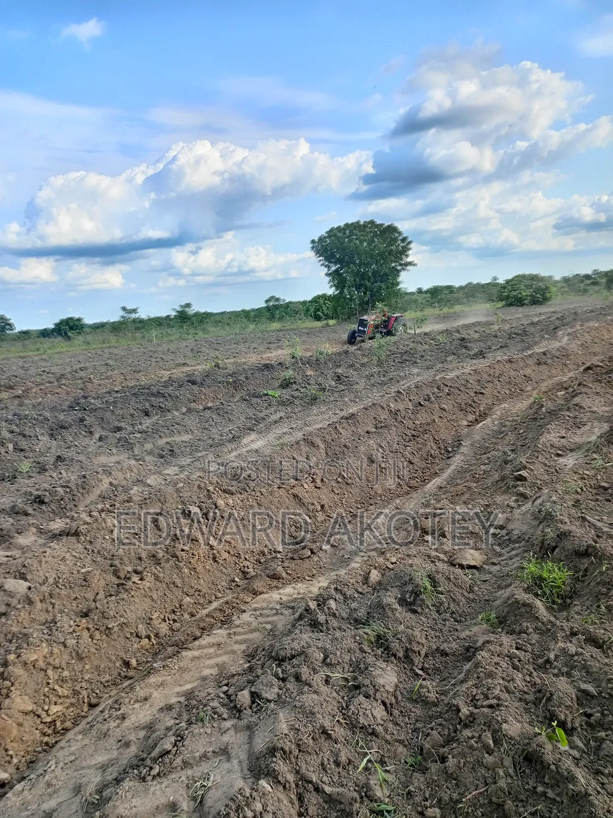 Fertile Farmland for Lease or Buy