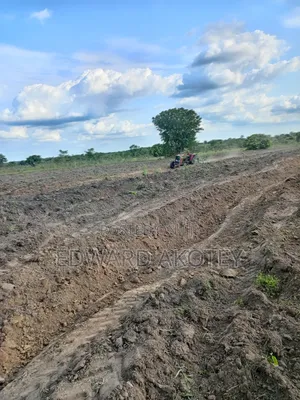 Fertile Farmland for Lease or Buy