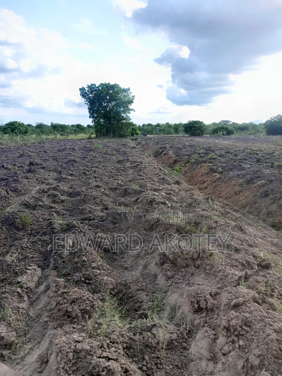 Fertile Farmland for Lease or Buy
