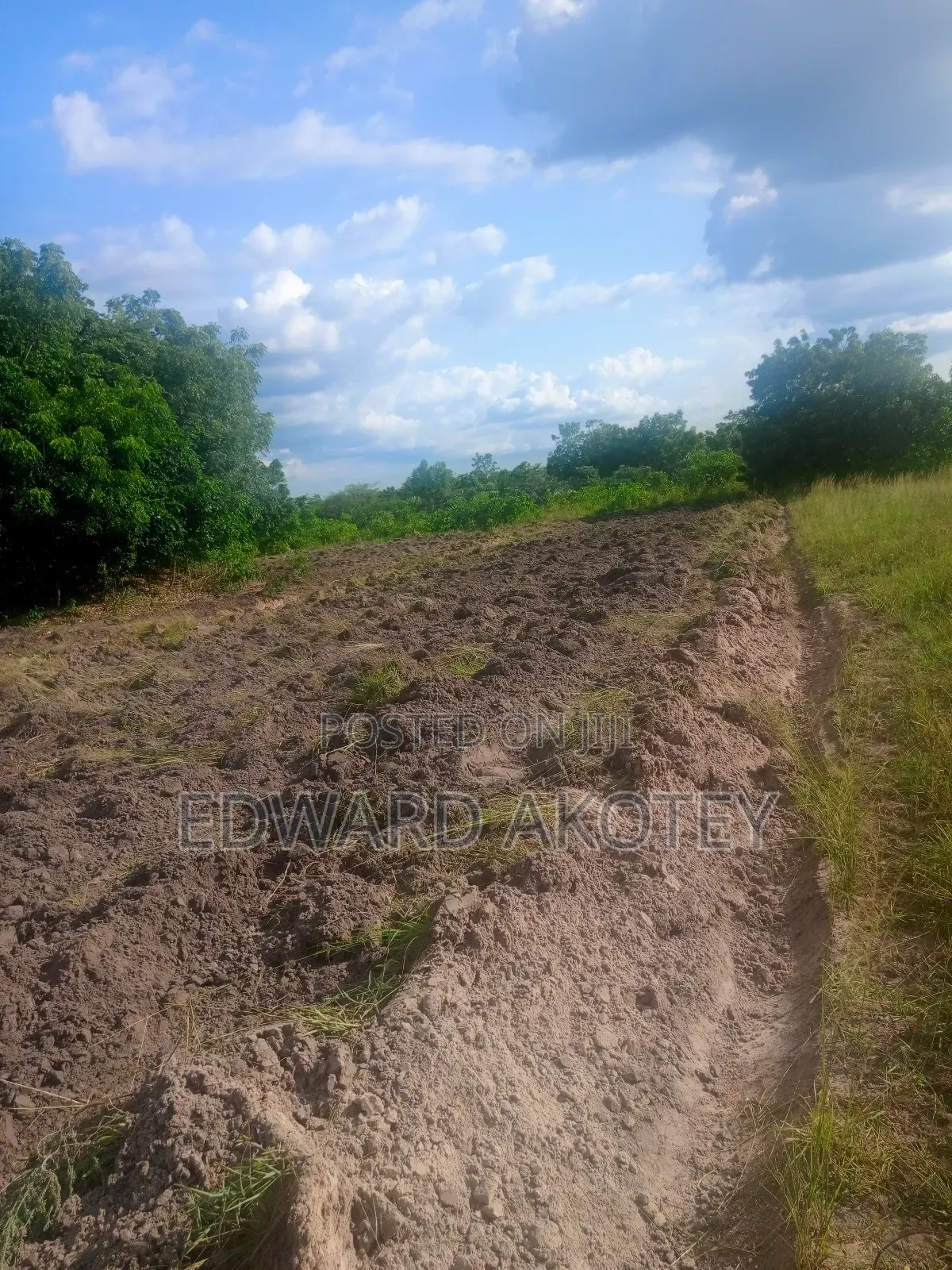 Fertile Farmland for Lease or Buy