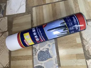700ml Leakages Spray