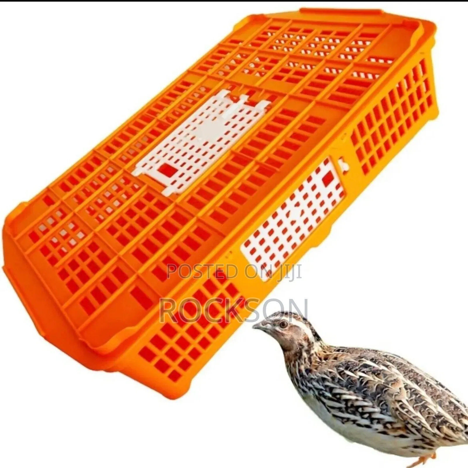Transport Cage